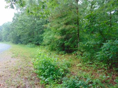 Lot 9 Riviera Dr.
