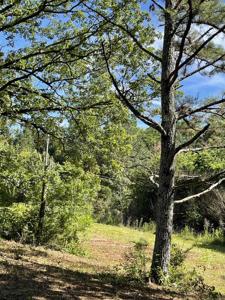 00 Co Rd 575