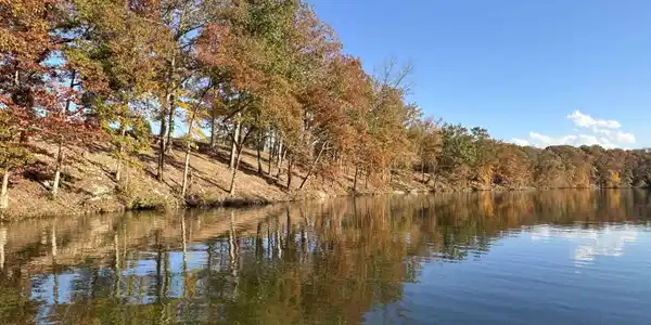 132 Cole Creek Cove