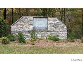 LOT 3 CO RD 260