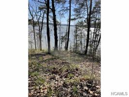 181 CO RD 443