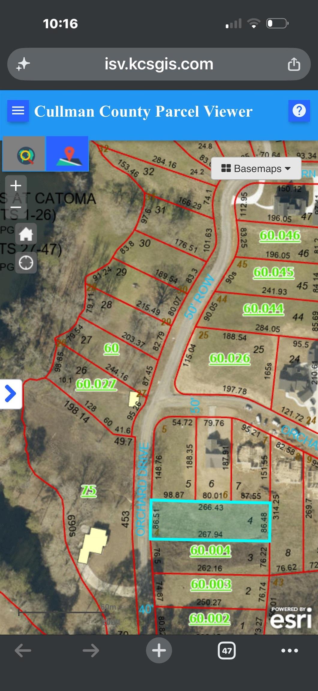 Image 4