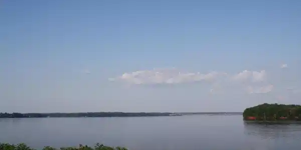 Image 4: Image 4