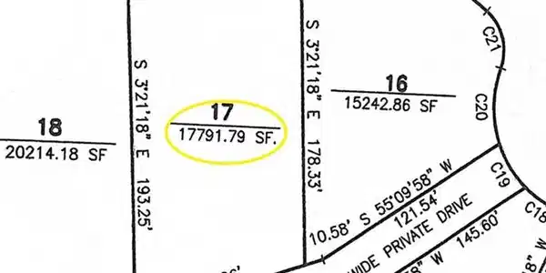 Image 2: Image 2