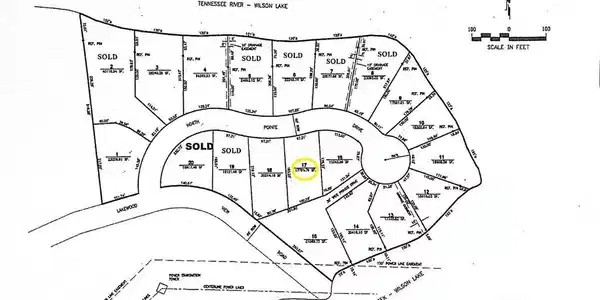 Image 3: Image 3