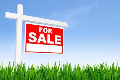 Image 2: Image 2