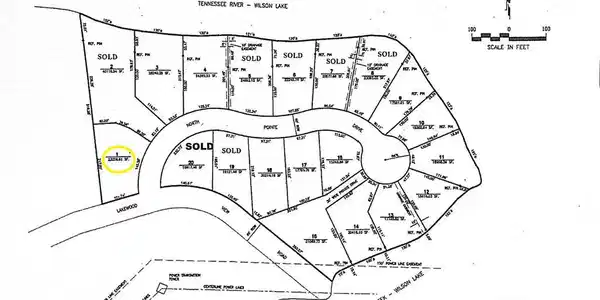 Image 3: Image 3