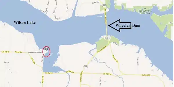 Image 4: Image 4