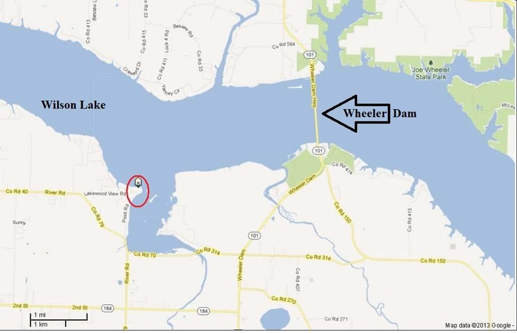 Image 4: Image 4