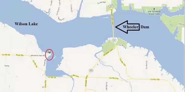 Image 4: Image 4