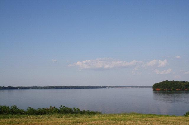 Image 4: Image 4