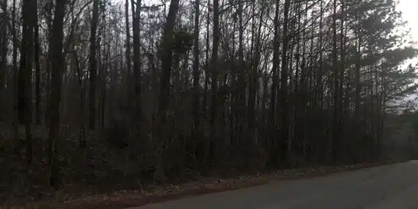 00 Lake Front Dr