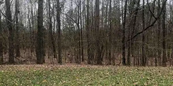 00 Lake Front Dr
