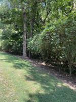 226 Allison Dr