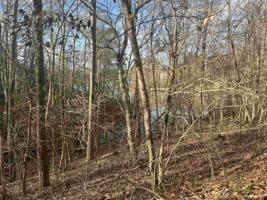 Lot 6 Lakeshore
