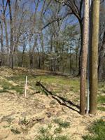 .53 Acres (3)TR Co Rd 414
