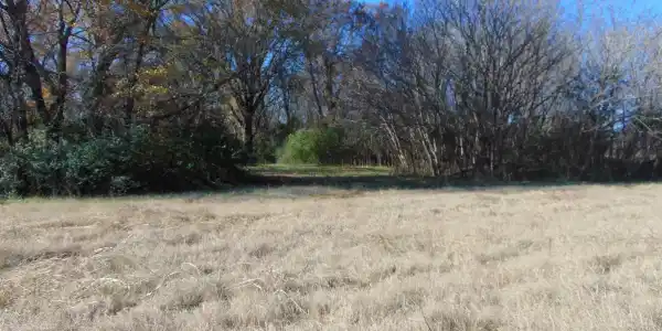 2002 Alabama Ave