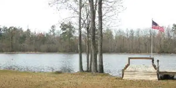 231 RIDGE LAKE DRIVE  (F-15)