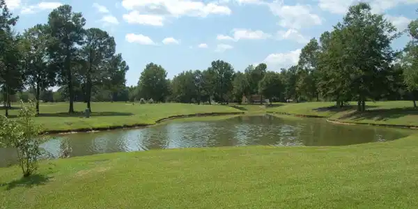 1451 Blue Heron