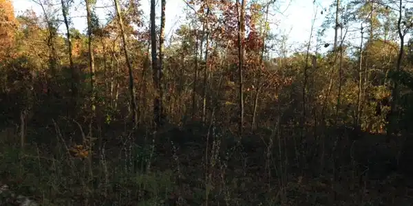 Lot 5 Battlefield Drive