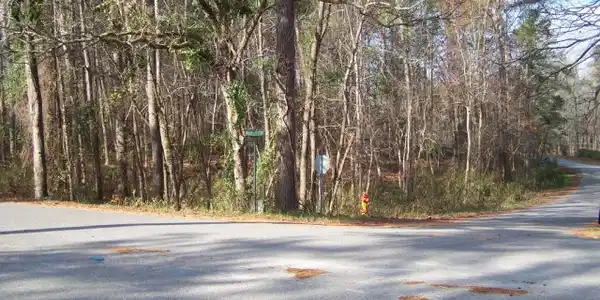 TBD Park & Moultrie Drive
