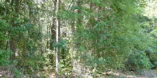 00 Knott Drive