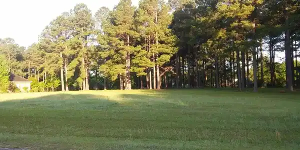 403 Pinelake Ct (L-23)