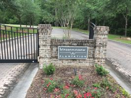 1203 Red Buckeye Court