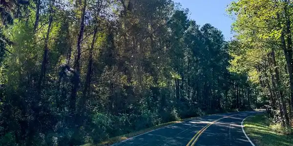 10 Packs Landing Rd
