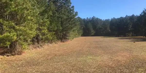 000 Mill Creek Road