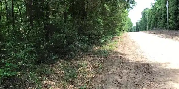 0 Oak Ridge Drive