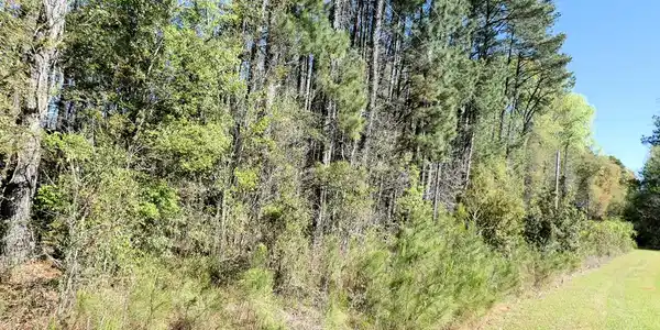 Lot 21 Ned's Cove