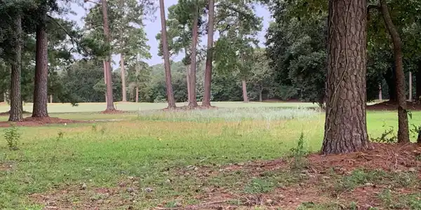 140 Saluda Drive