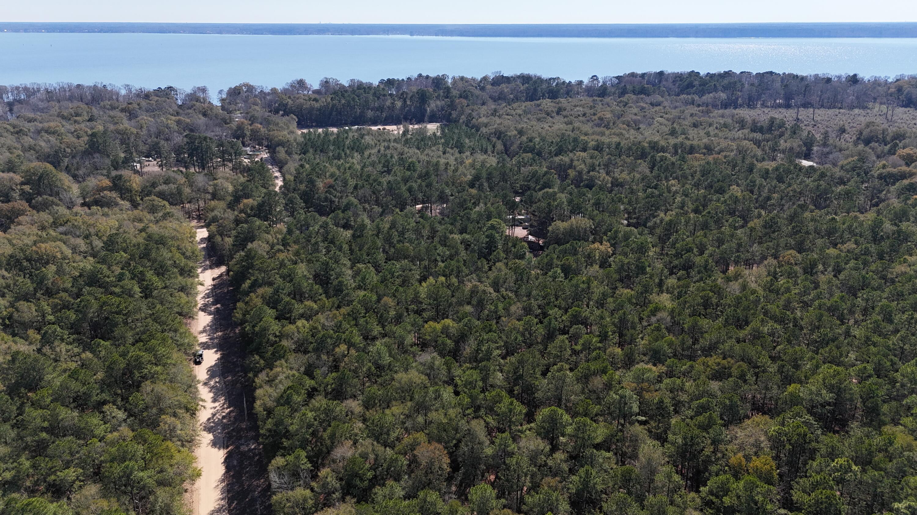 Image 2: DJI_20260301142906_0098_D