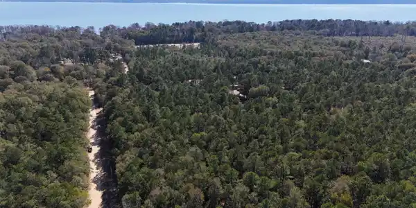 Image 2: DJI_20260301142906_0098_D