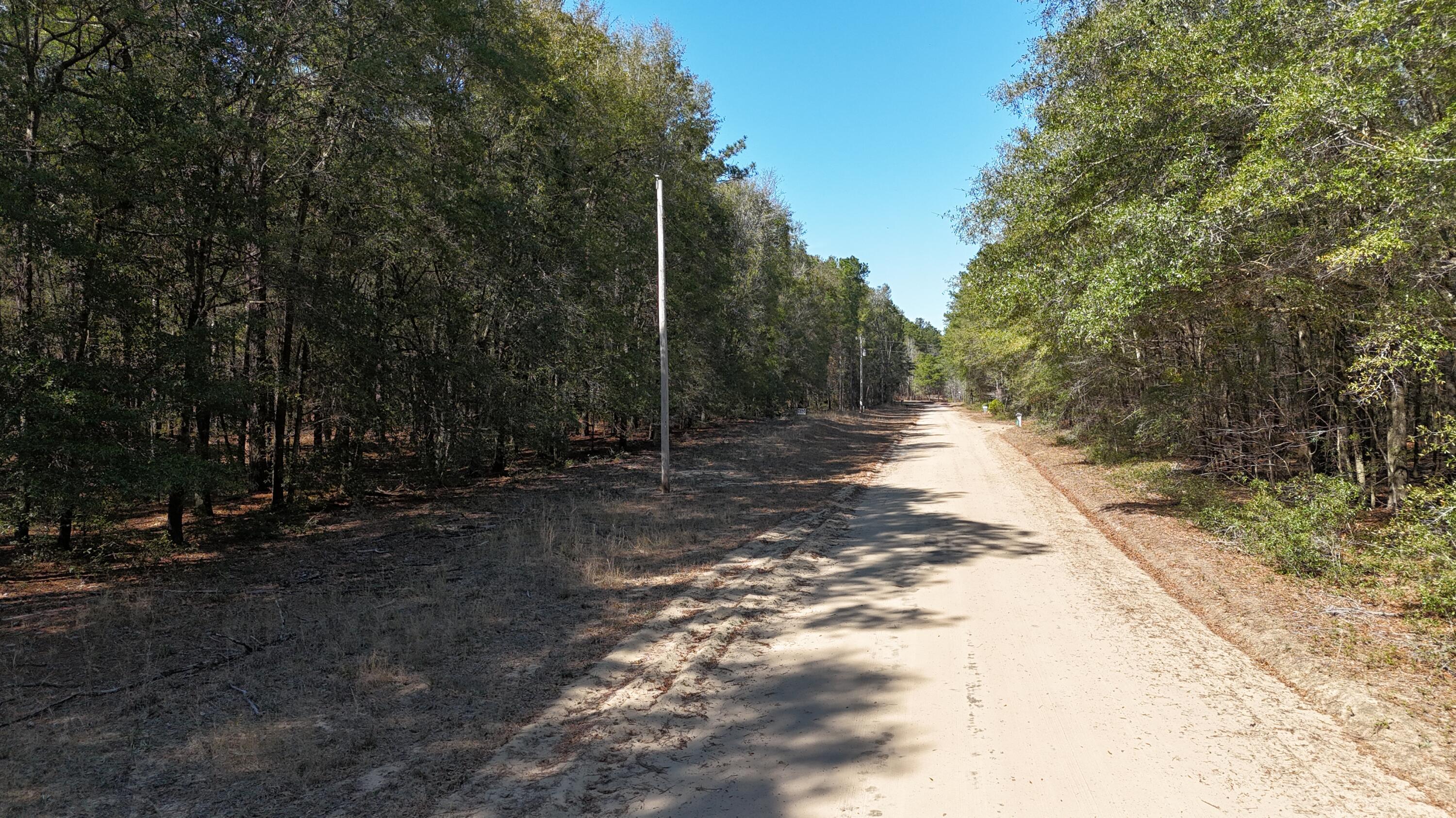 Image 3: DJI_20260301142426_0083_D