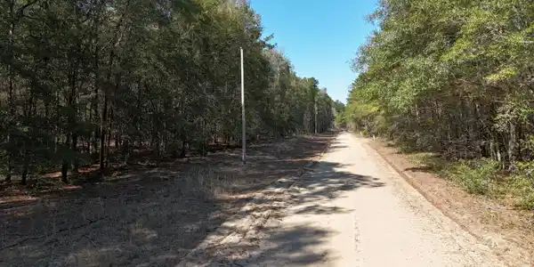 Image 3: DJI_20260301142426_0083_D