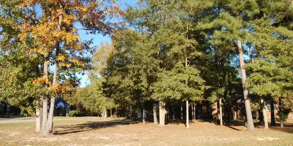 507 OAK HILL DRIVE (M-28)