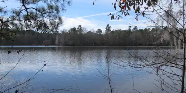 Lot 12 Winnwood Lane