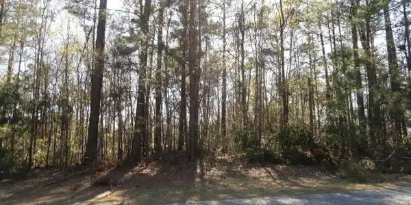 0 Rockfish Drive (Lot 152)