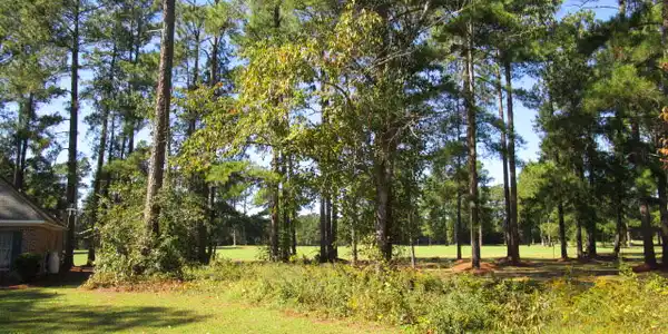Lot 10 Saluda Dr