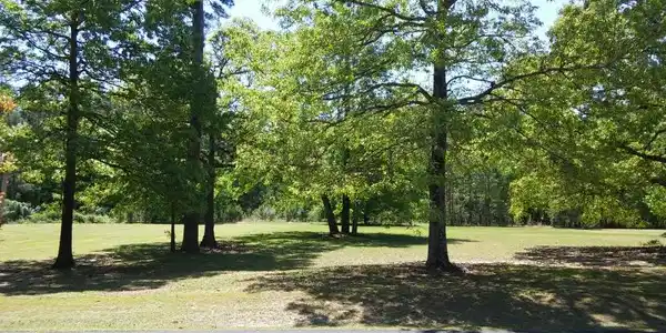 121 WOODLAKE DR(C-40)