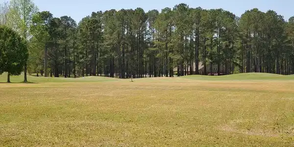 309 Plantation Drive (A-96)