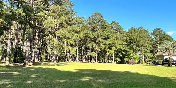 404 Pine Lake Court