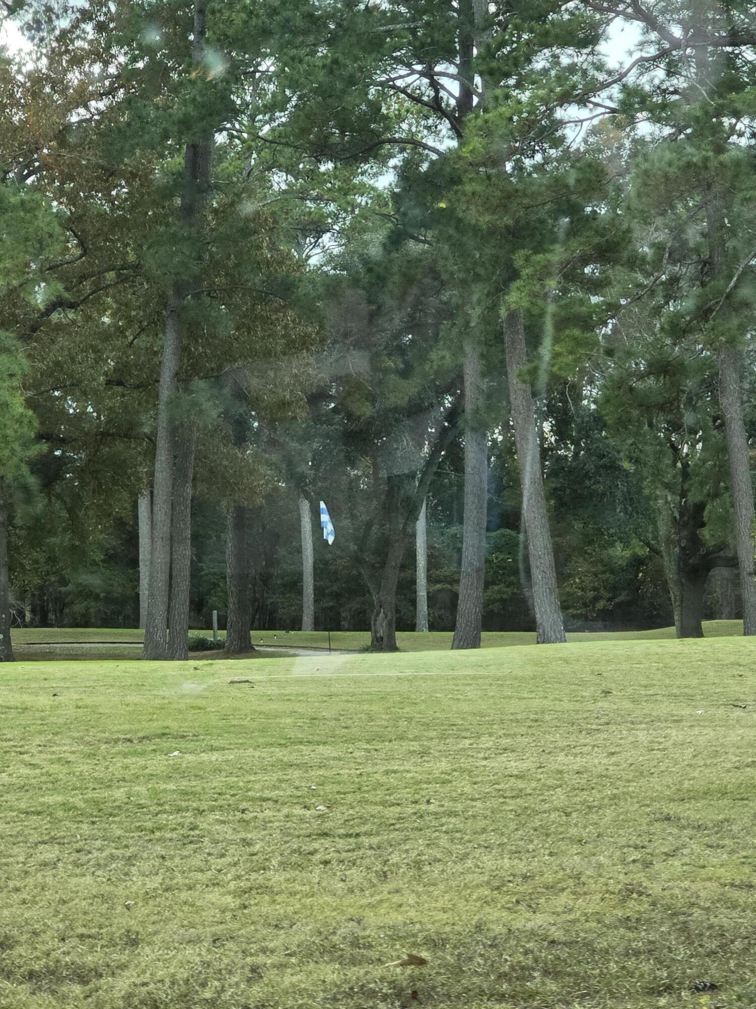 Image 3: 20251125_141211