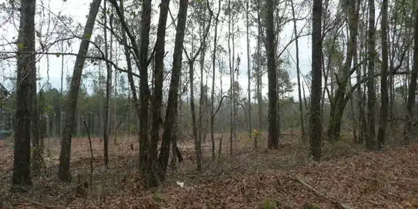 TBD Race Track Rd.