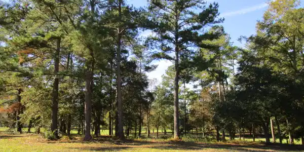 Lot AA-5 Saluda Dr