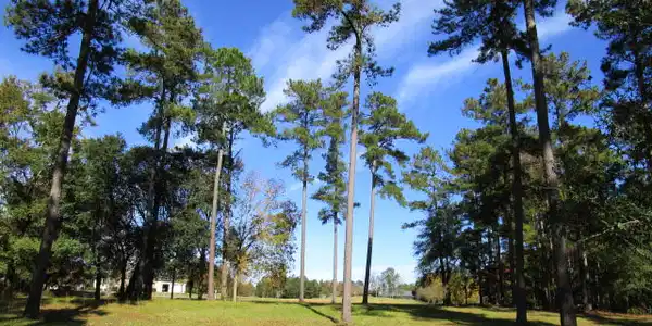 Lot AA-6 Saluda Dr