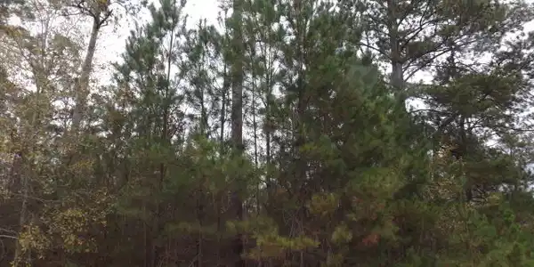 Lot 3 Chapel Creek Drive