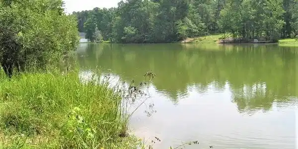 Lot 11 Chapel Creek Dr